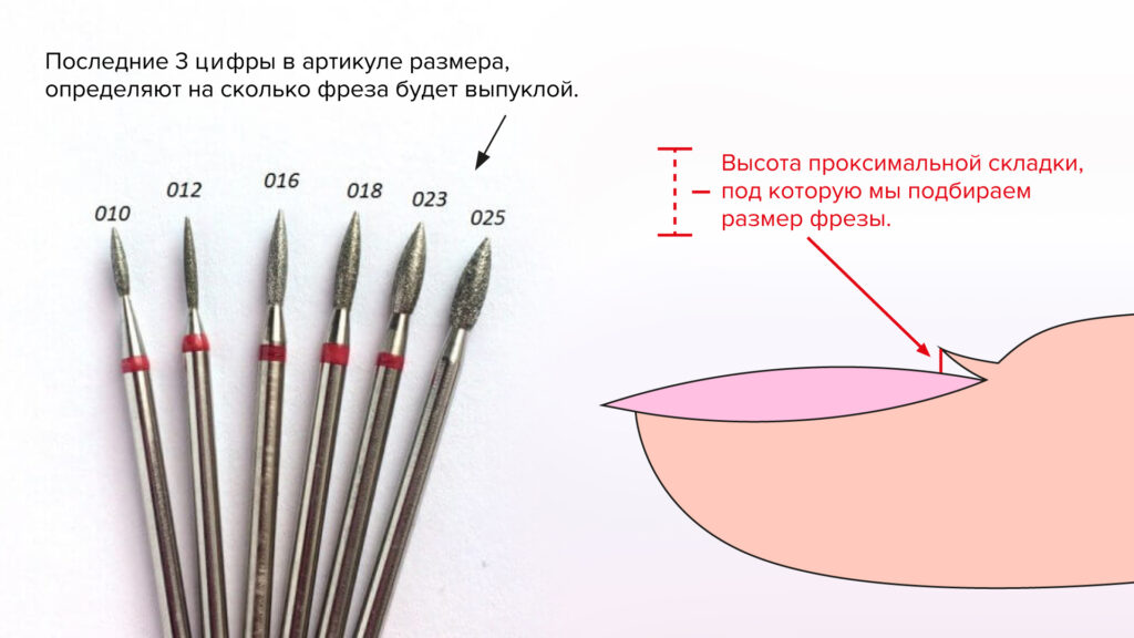 Как правильно выбрать размер фрезы пламя под размер проксимальной складки
